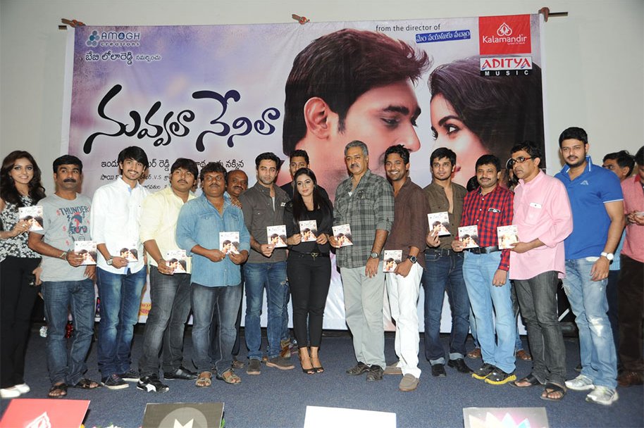 Nuvvala-Nenila-Audio-Launch